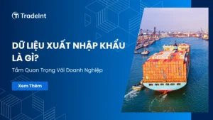 dữ liệu xuất nhập khẩu là gì co so du lieu xuat nhap khau tradeint vn