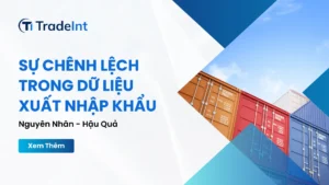 sự chênh lệch trong dữ liệu xuất nhập khẩu nguyên nhân và hậu quả co so du lieu xuat nhap khau tradeint vn
