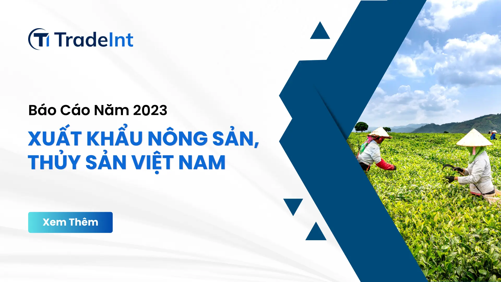 xuất khẩu nông sản thủy sản việt nam 2023 tradeintvn