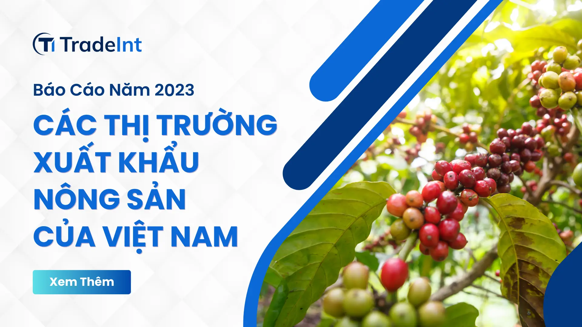 thị trường xuất khẩu nông sản chính của việt nam tradeintvn