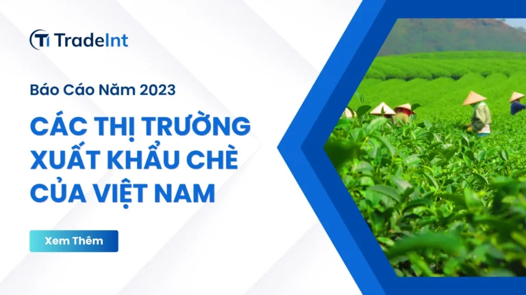 Các thị trường xuất khẩu chè của Việt Nam
