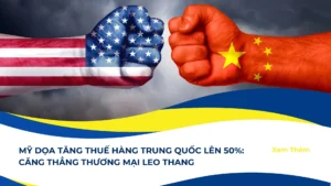  co so du lieu xuat nhap khau tradeint vn