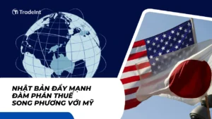  co so du lieu xuat nhap khau tradeint vn