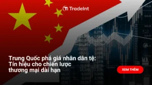  co so du lieu xuat nhap khau tradeint vn