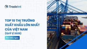  co so du lieu xuat nhap khau tradeint vn