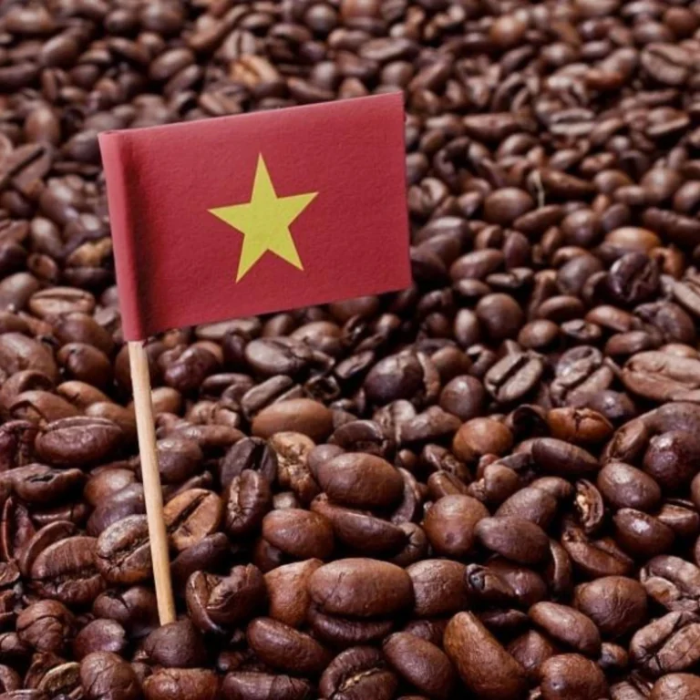 co so du lieu xuat nhap khau tradeint vn