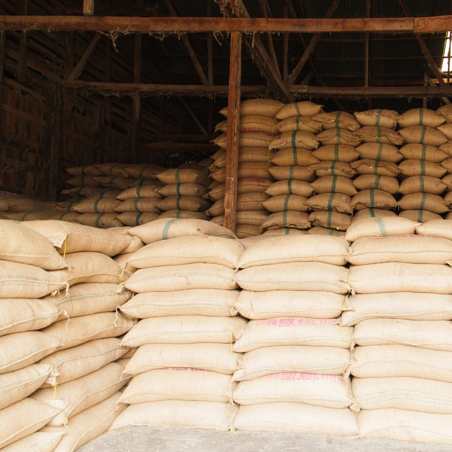 chỉnh sửa quy định về báo cáo lượng tồn kho gạo co so du lieu xuat nhap khau tradeint vn