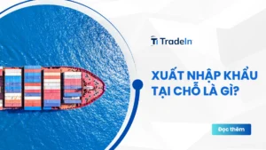 xuất nhập khẩu tại chỗ co so du lieu xuat nhap khau tradeint vn