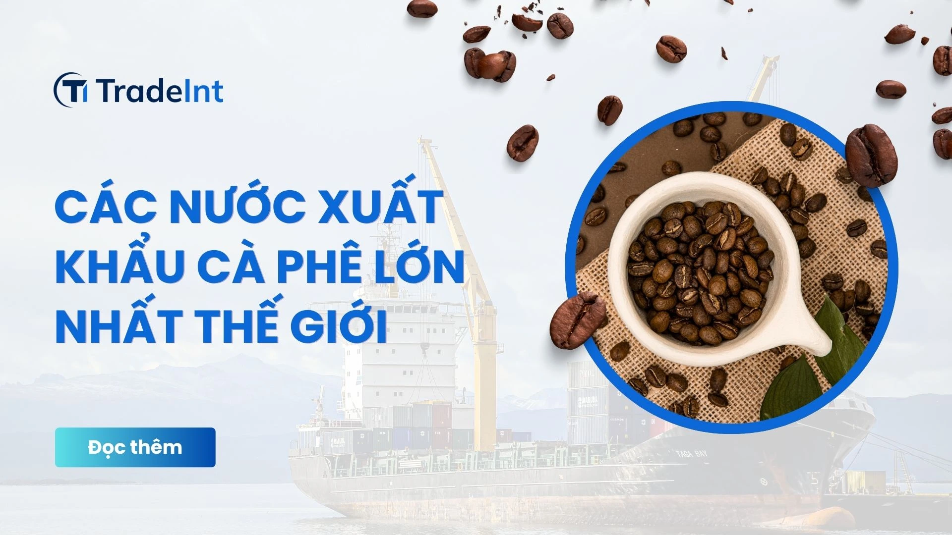  co so du lieu xuat nhap khau tradeint vn