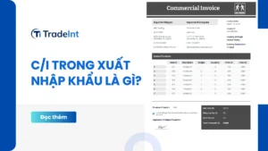 thông tin về ci trong xuất nhập khẩu co so du lieu xuat nhap khau tradeint vn