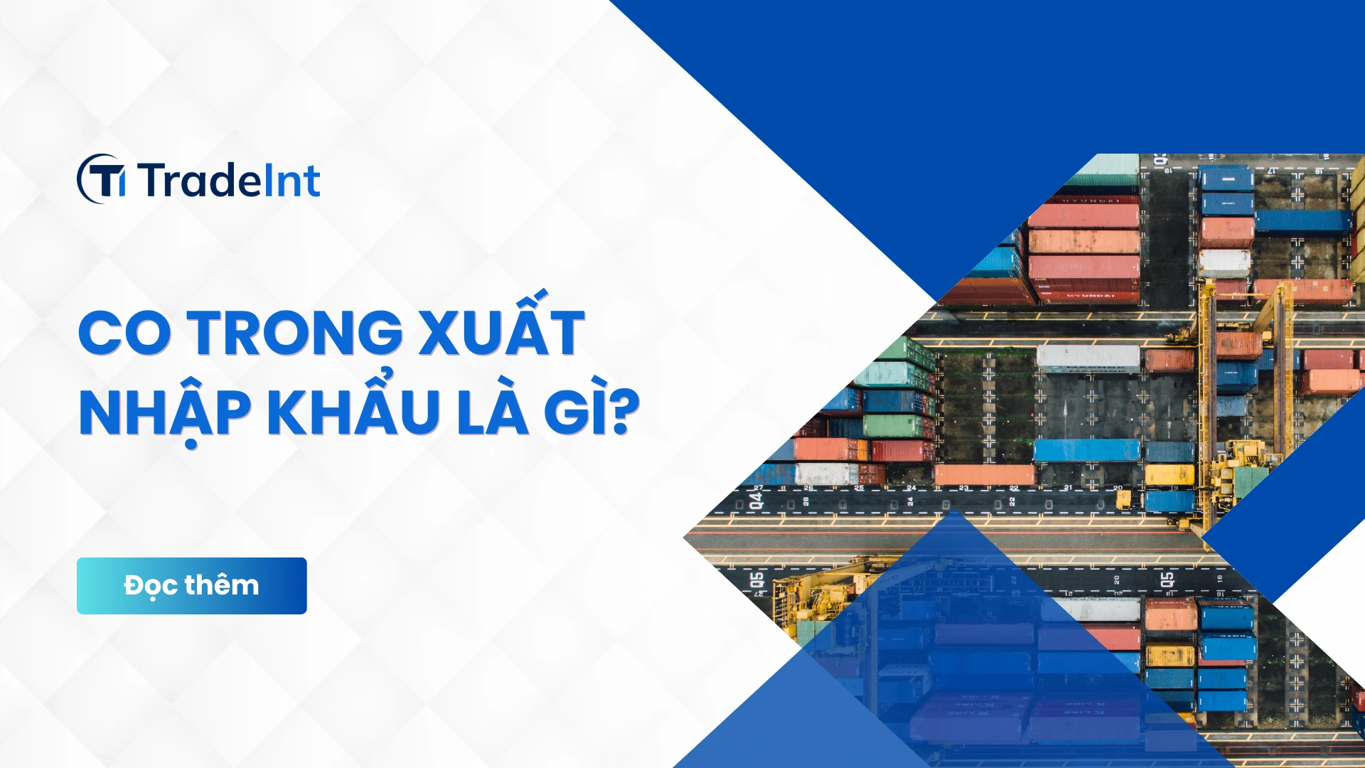 co trong xuất nhập khẩu là gì co so du lieu xuat nhap khau tradeint vn