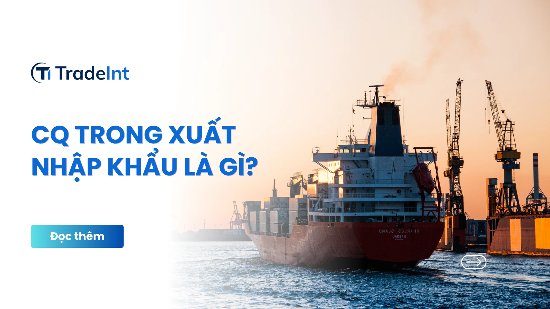 cq trong xuất nhập khẩu co so du lieu xuat nhap khau tradeint vn