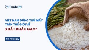 xuất khẩu gạo việt nam đứng thứ mấy co so du lieu xuat nhap khau tradeint vn
