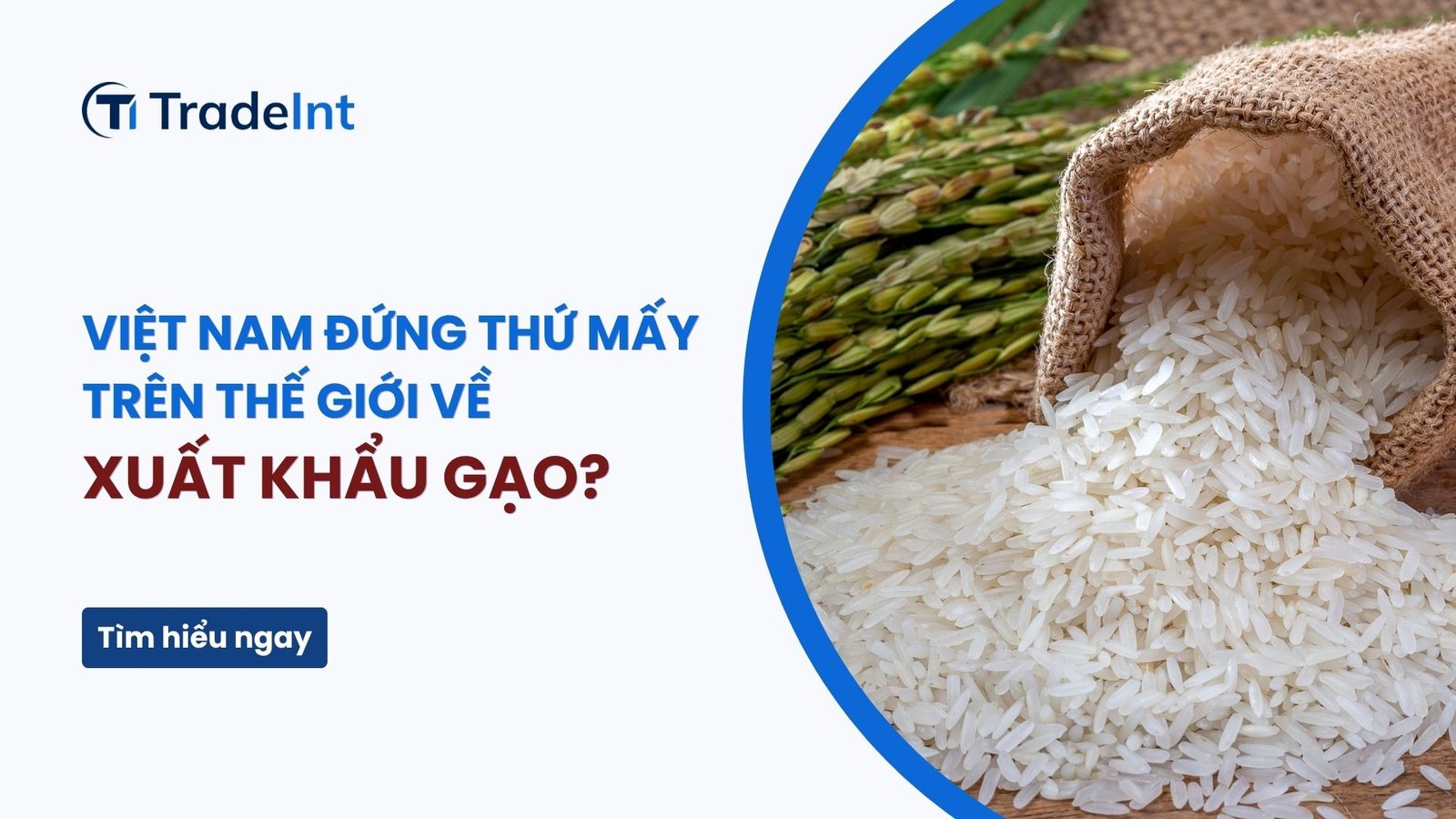 xuất khẩu gạo việt nam đứng thứ mấy co so du lieu xuat nhap khau tradeint vn