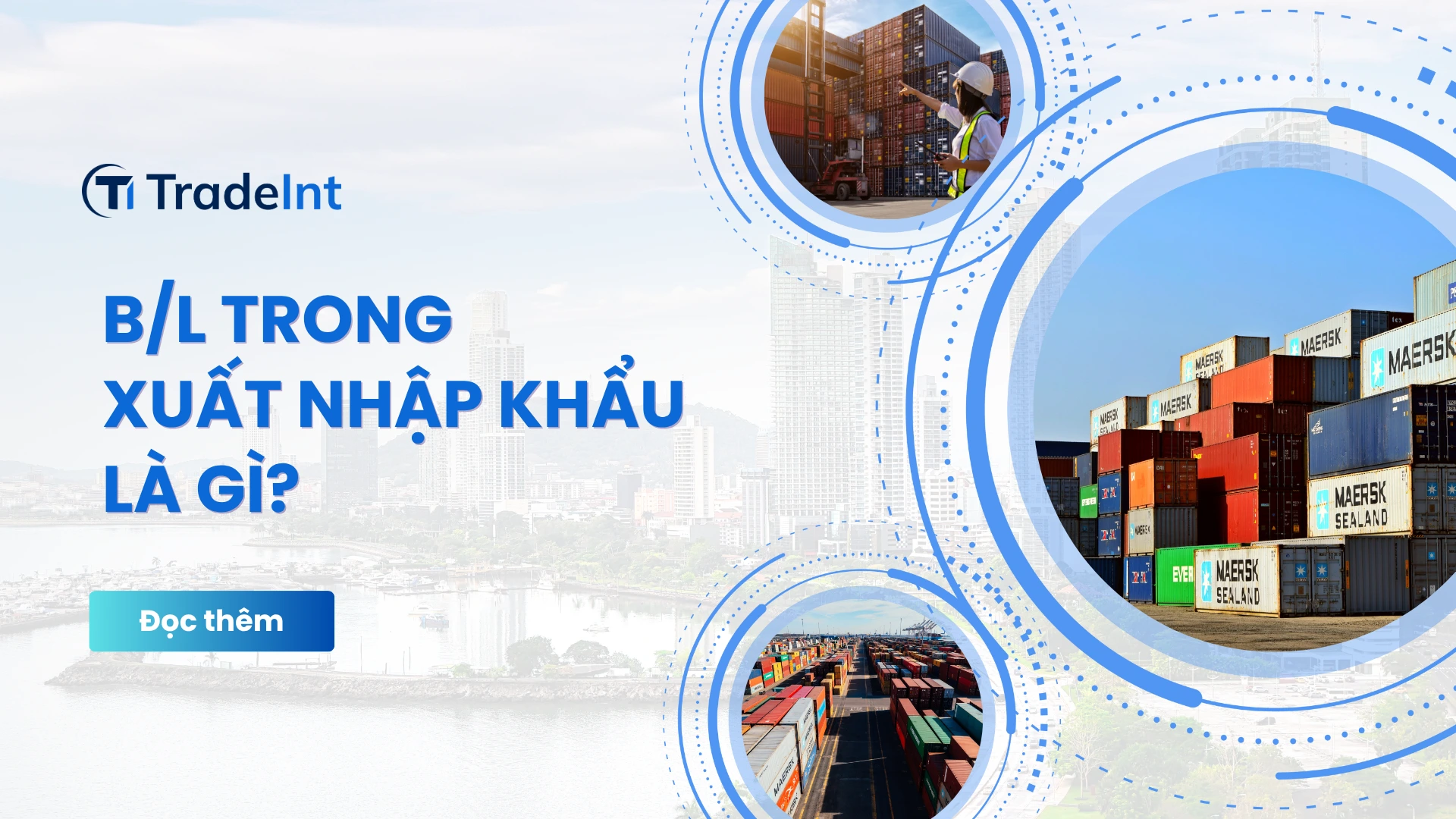 bl trong xuất nhập khẩu co so du lieu xuat nhap khau tradeint vn