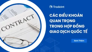các điều khoản trong hợp đồng giao dịch quốc tế co so du lieu xuat nhap khau tradeint vn