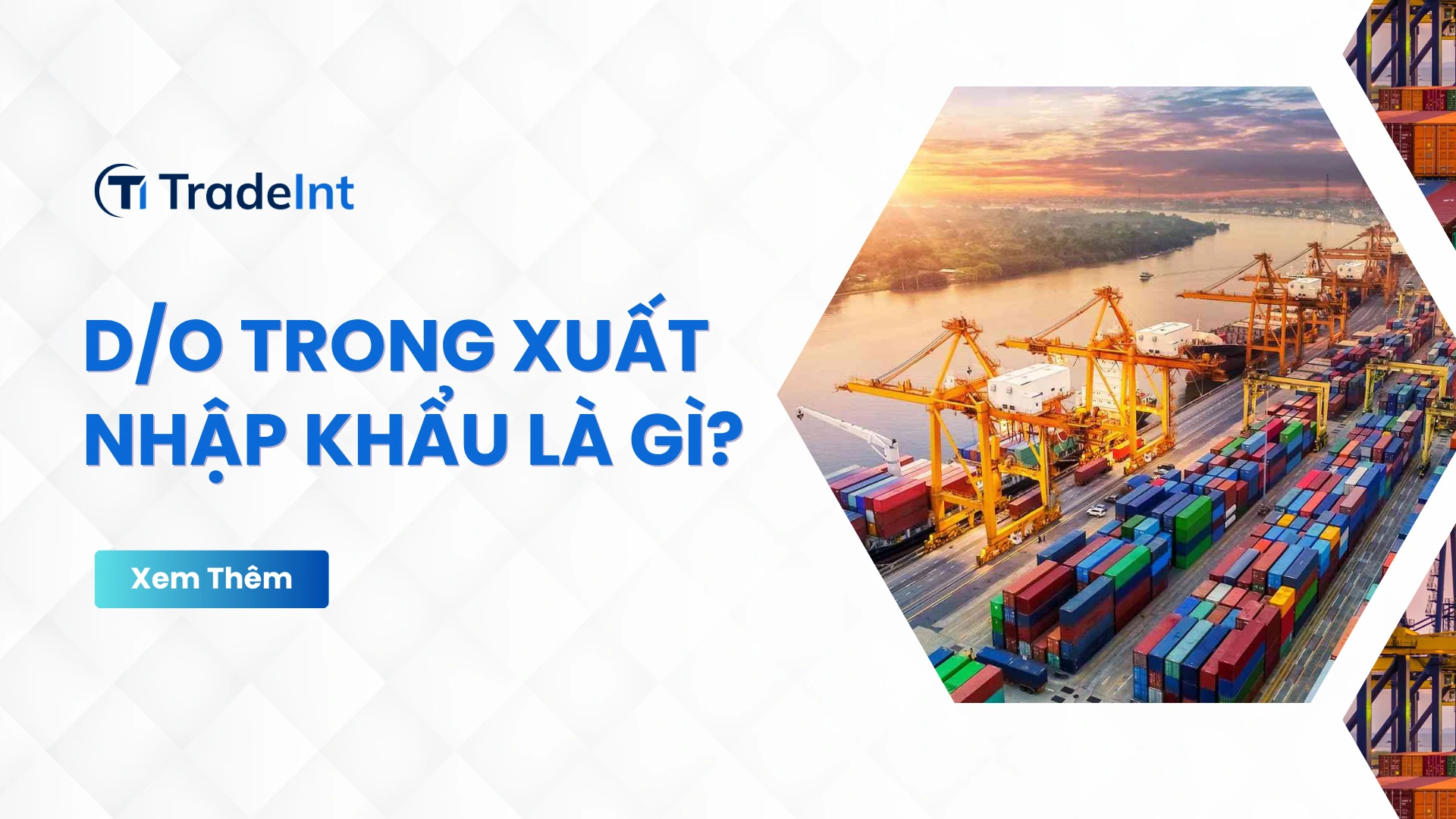 do lệnh giao hàng trong xuất nhập khẩu co so du lieu xuat nhap khau tradeint vn