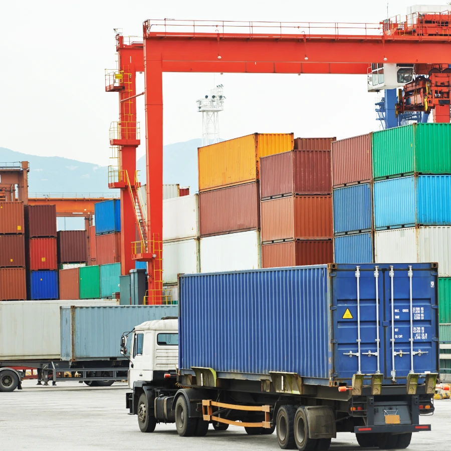 thông quan đối với gạo xuất khẩu co so du lieu xuat nhap khau tradeint vn