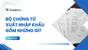 bộ chứng từ xuất nhập khẩu gồm những gì co so du lieu xuat nhap khau tradeint vn