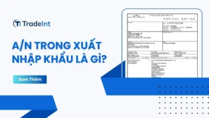 thông báo hàng đến an co so du lieu xuat nhap khau tradeint vn