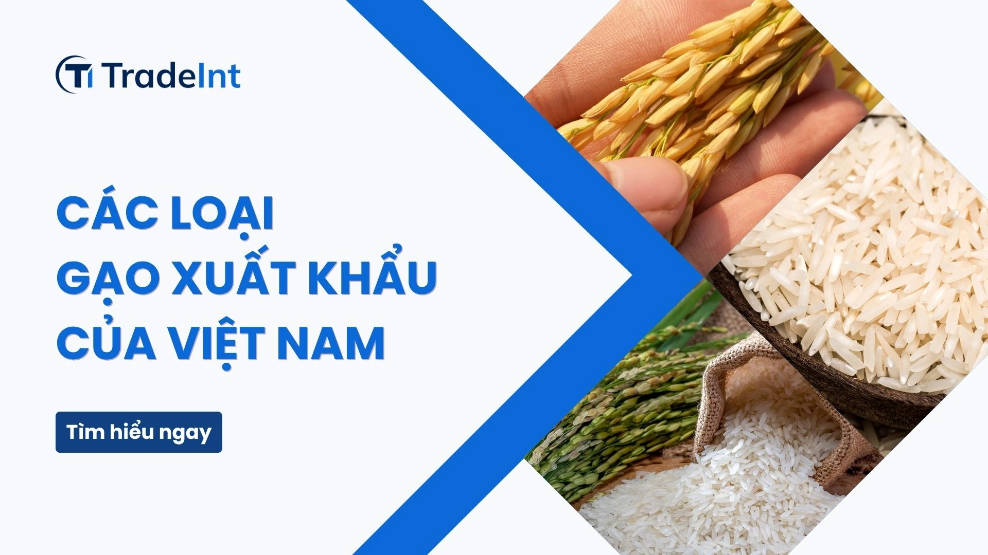 các loại gạo xuất khẩu của việt nam co so du lieu xuat nhap khau tradeint vn