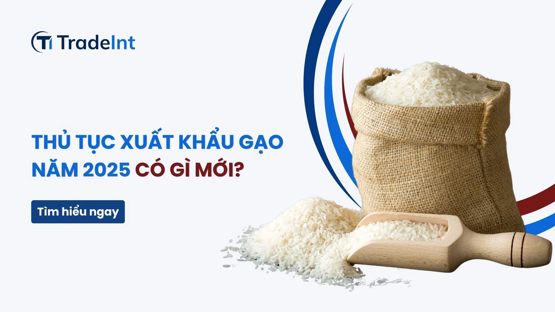 thủ tục xuất khẩu gạo năm 2025 co so du lieu xuat nhap khau tradeint vn