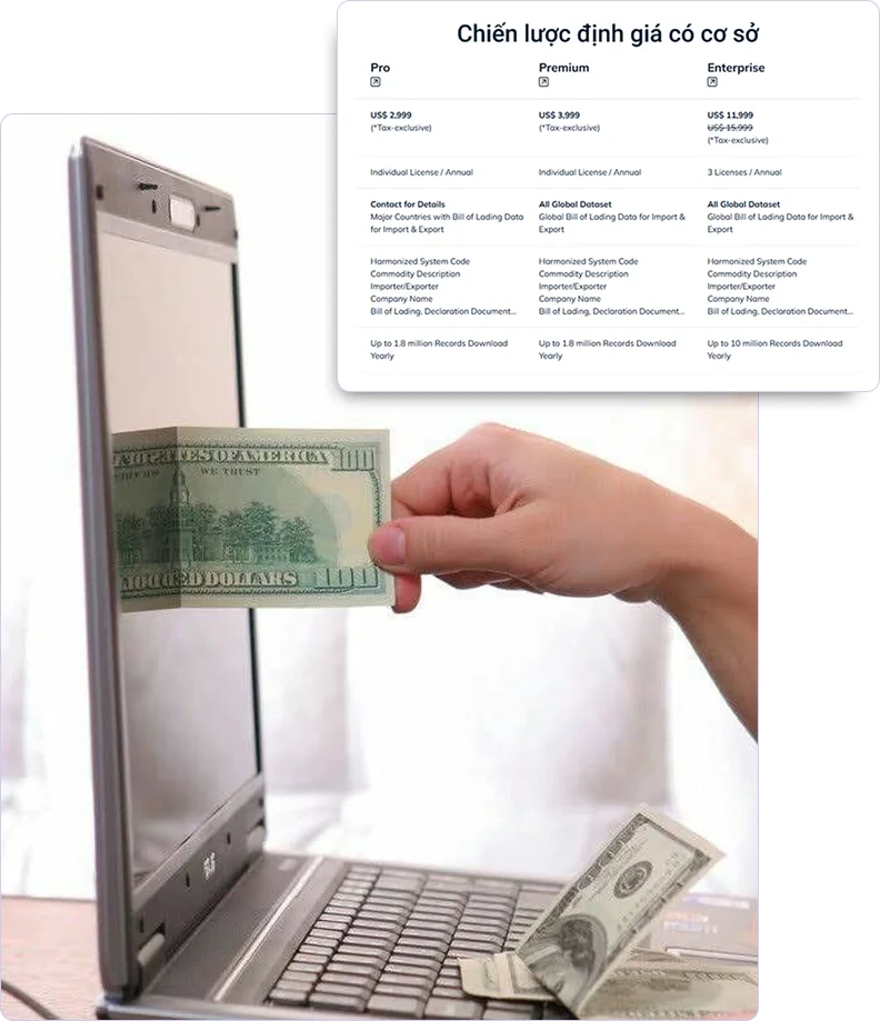 chiến lược Định giá co so du lieu xuat nhap khau tradeint vn