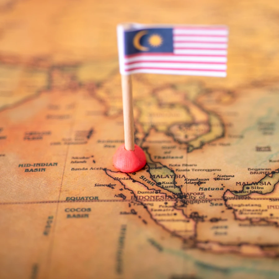 Malaysia Trade Intelligence Global malaysia là một trong những thị trường lớn nhất của xuất khẩu gạo việt nam co so du lieu xuat nhap khau tradeint vn