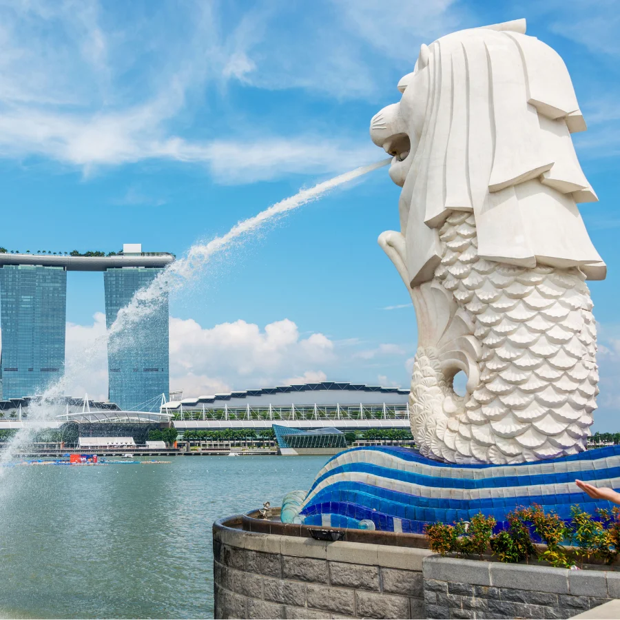 Singapore Trade Intelligence Global singapore có thể sẽ là thị trường tiêu thụ tiềm năng cho gạo việt nam co so du lieu xuat nhap khau tradeint vn