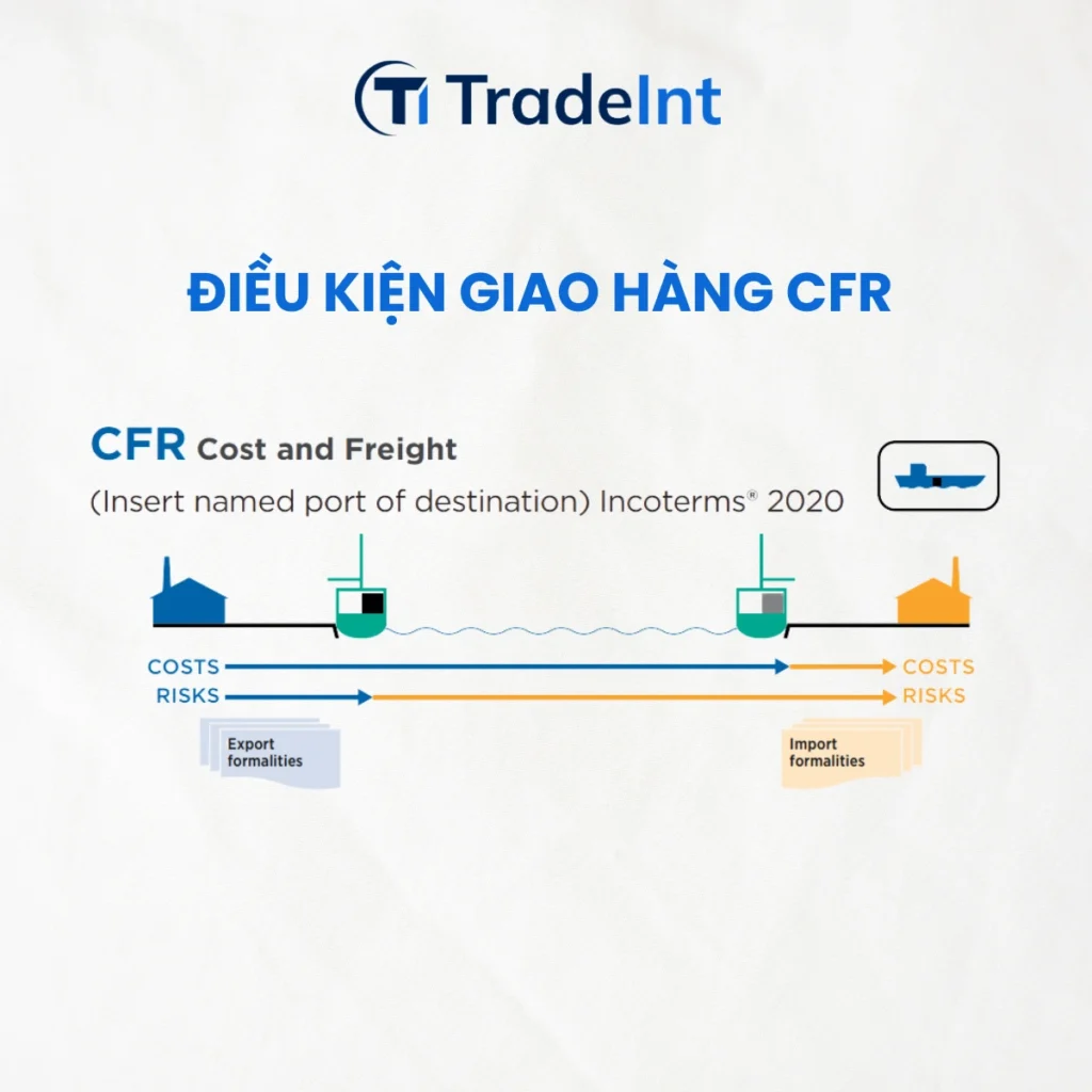 cfr cost and freight  tiền hàng và cước phí co so du lieu xuat nhap khau tradeint vn