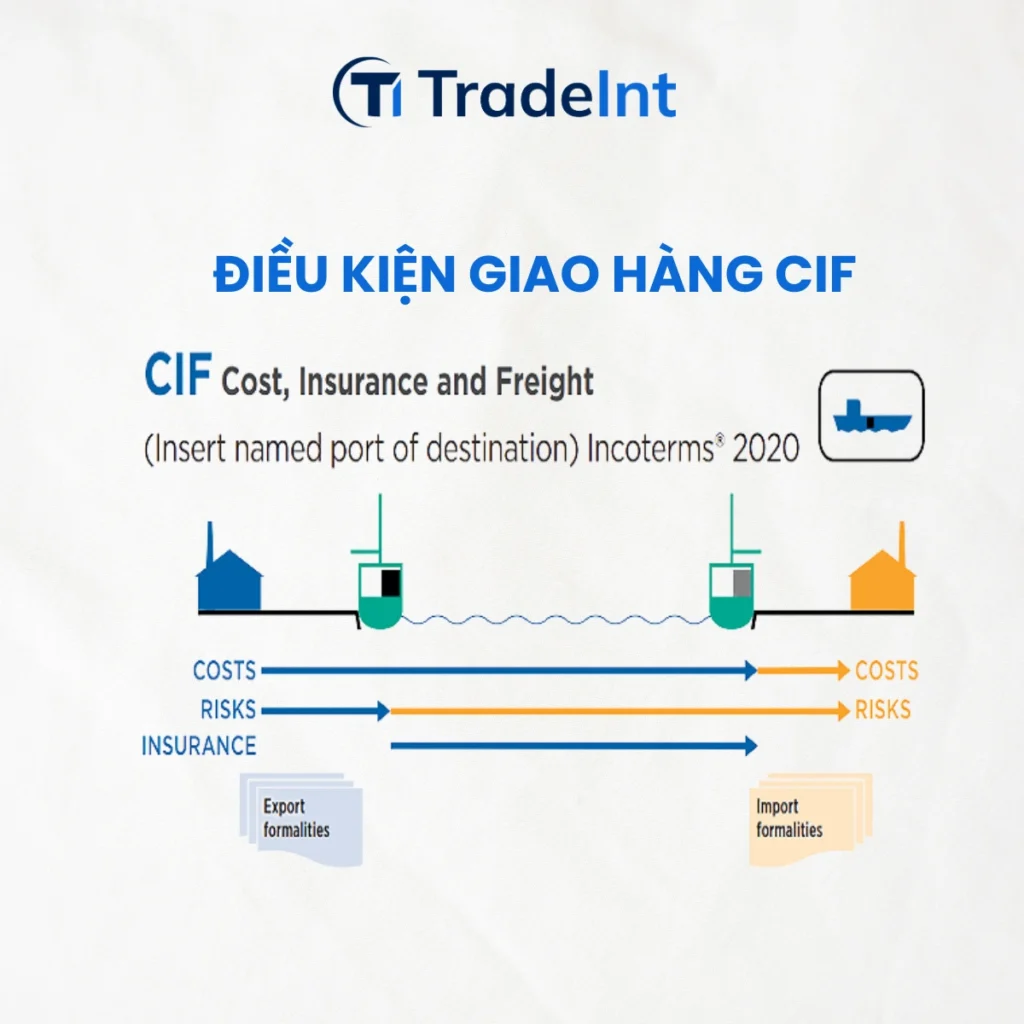 cif cost insurance and freight  tiền hàng bảo hiểm và cước phí co so du lieu xuat nhap khau tradeint vn
