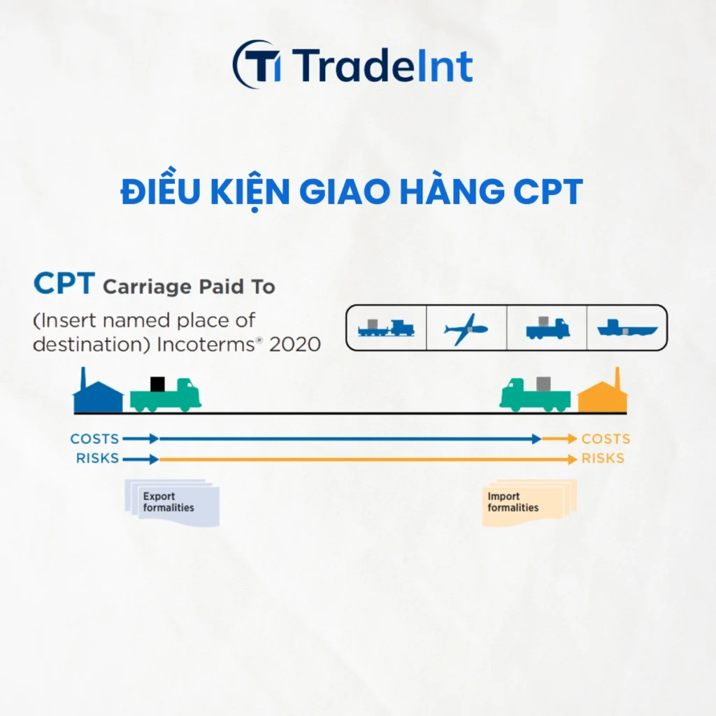 cpt carriage paid to  cước phí trả tới co so du lieu xuat nhap khau tradeint vn