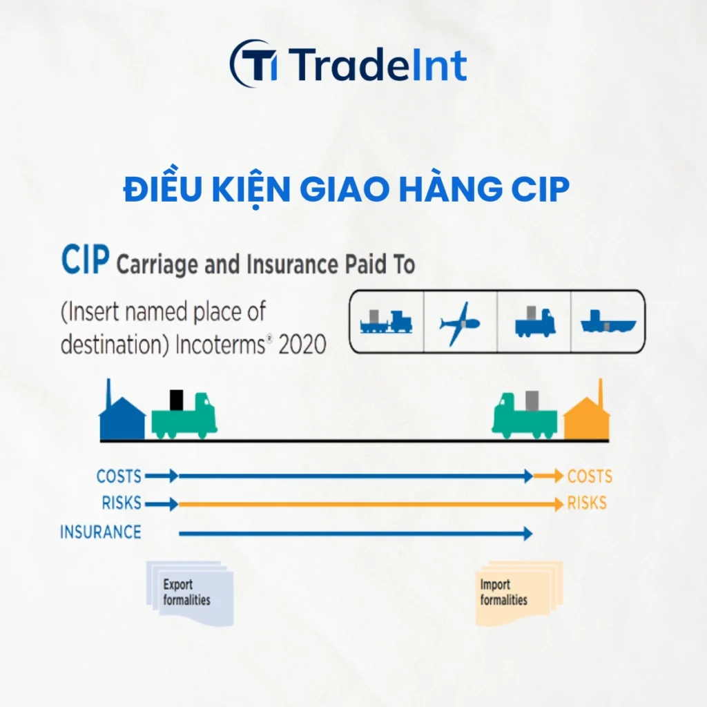 cip carriage and insurance paid to  cước phí và bảo hiểm trả tới co so du lieu xuat nhap khau tradeint vn