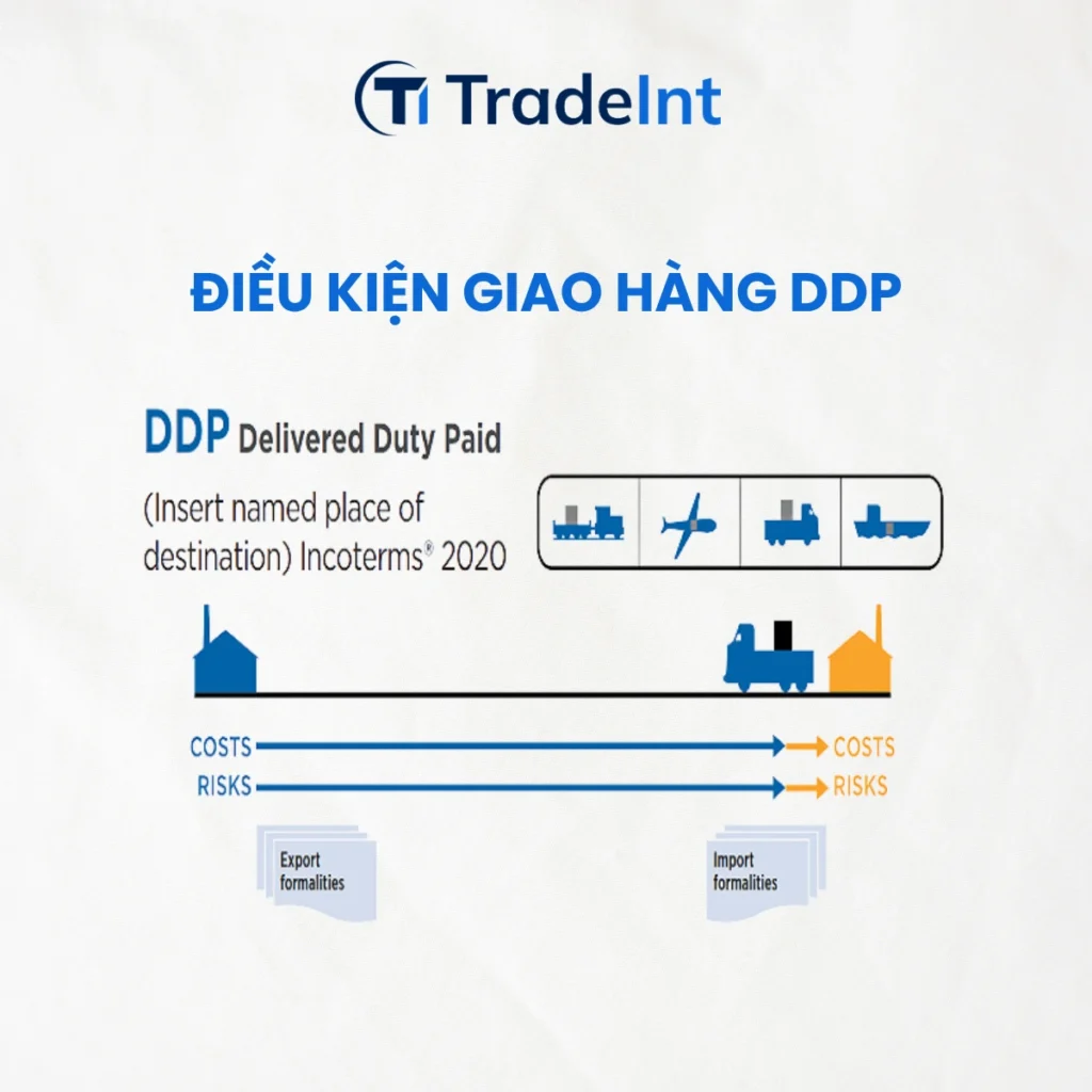 Điều kiện giao hàng ddp co so du lieu xuat nhap khau tradeint vn