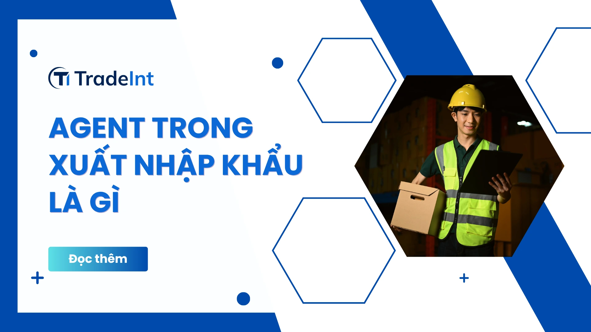 agent trong xuất nhập khẩu là gì co so du lieu xuat nhap khau tradeint vn