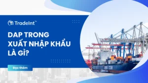 Điều kiện dap incoterms 2020 co so du lieu xuat nhap khau tradeint vn