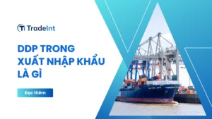 Điều kiện ddp trong xuất nhập khẩu co so du lieu xuat nhap khau tradeint vn
