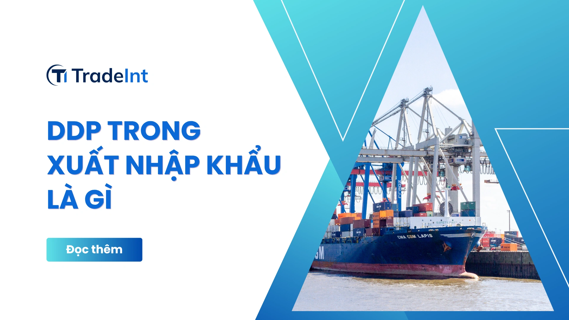 Điều kiện ddp trong xuất nhập khẩu co so du lieu xuat nhap khau tradeint vn