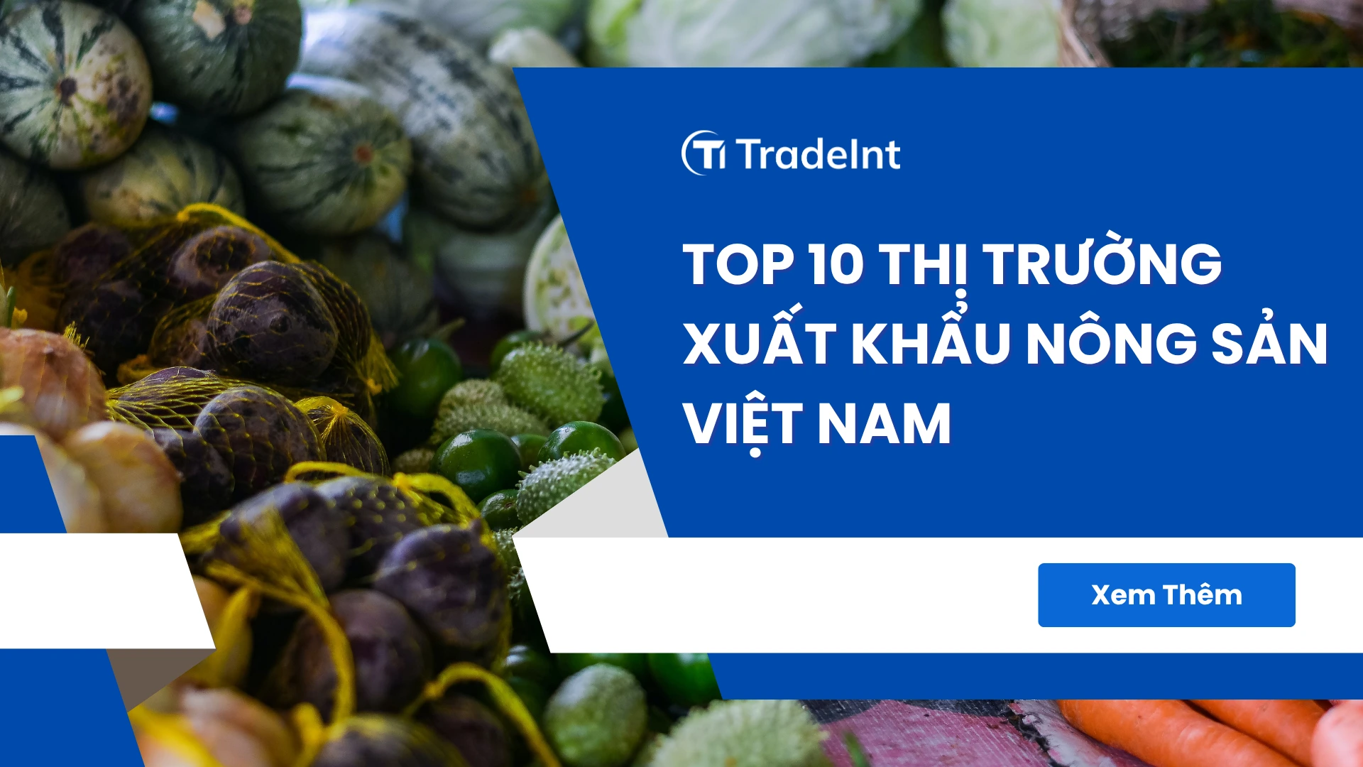 top 10 thị trường xuất khẩu nông sản của việt nam 2025 co so du lieu xuat nhap khau tradeint vn