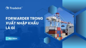 forwarder trong xuất nhập khẩu co so du lieu xuat nhap khau tradeint vn