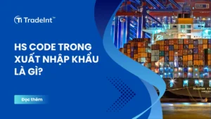 hs code trong xuất nhập khẩu là gì co so du lieu xuat nhap khau tradeint vn