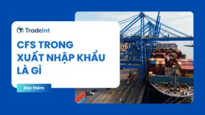cfs trong xuất nhập khẩu là gì co so du lieu xuat nhap khau tradeint vn