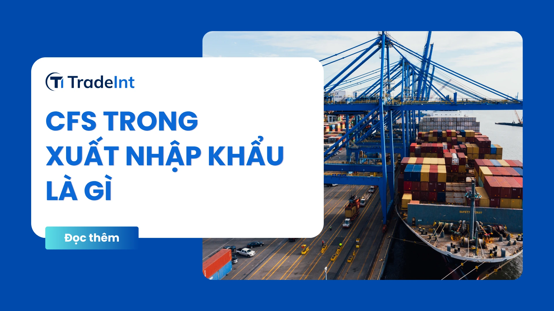 cfs trong xuất nhập khẩu là gì co so du lieu xuat nhap khau tradeint vn