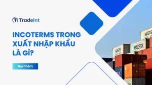 Điều kiện giao hàng  incoterms là gì co so du lieu xuat nhap khau tradeint vn