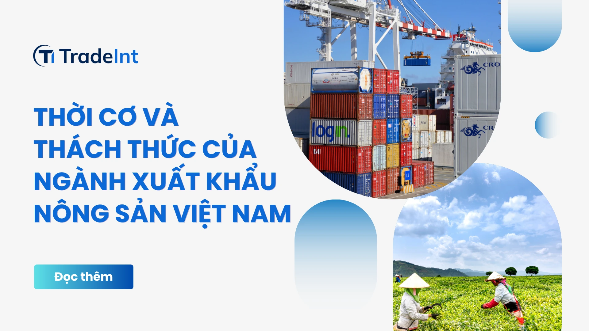 thời cơ và thách thức của xuất khẩu nông sản việt co so du lieu xuat nhap khau tradeint vn