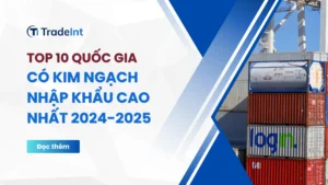 top 10 quốc gia có kim ngạch nhập khẩu cao nhất 2024 2025 co so du lieu xuat nhap khau tradeint vn
