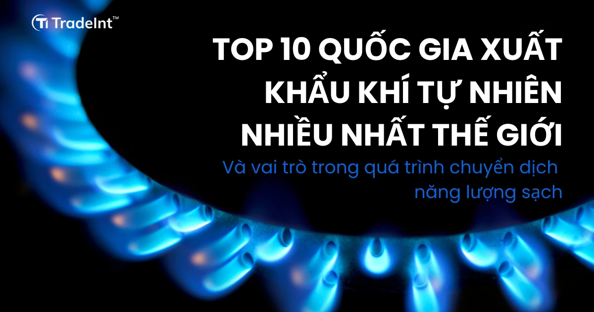 top 10 quốc gia xuất khẩu khí tự nhiên co so du lieu xuat nhap khau tradeint vn