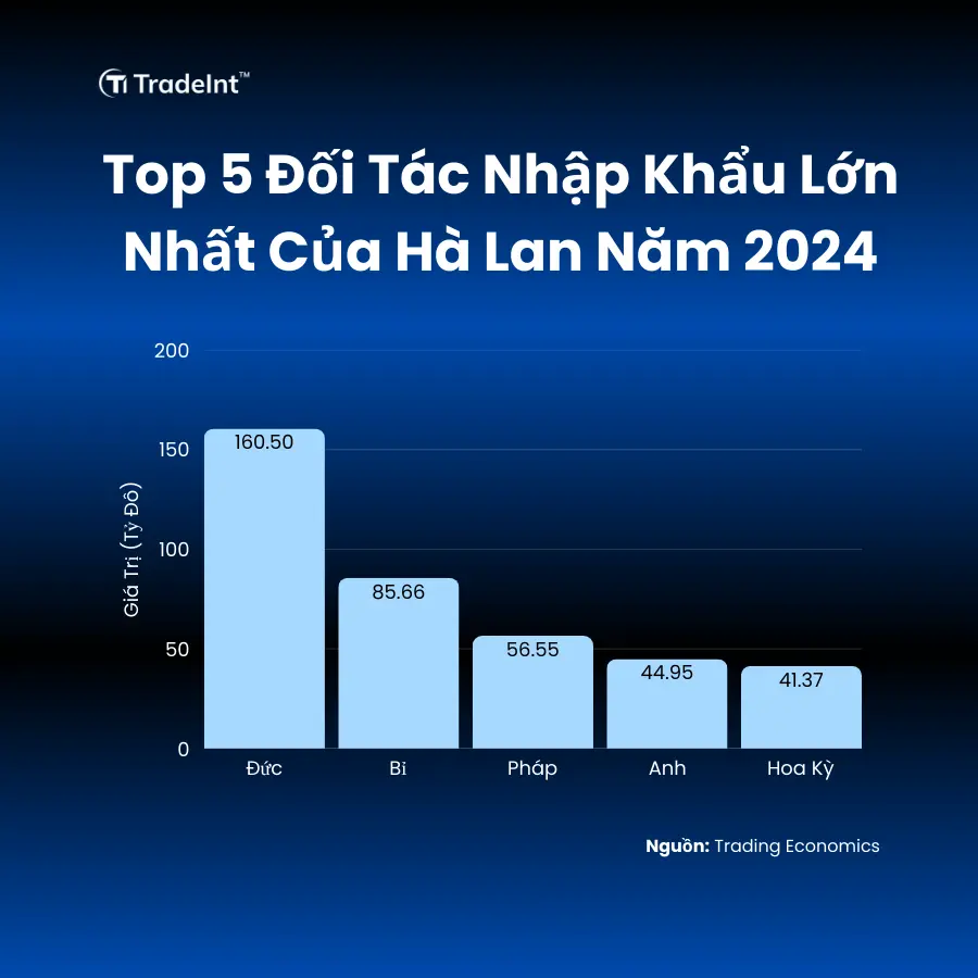 Các đối Tác Nhập Khẩu Hàng đầu Năm 2024 Trade Intelligence Global các đối tác nhập khẩu hàng đầu năm 2024 co so du lieu xuat nhap khau tradeint vn