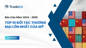 top 10 Đối tác thương mại lớn nhất của mỹ co so du lieu xuat nhap khau tradeint vn