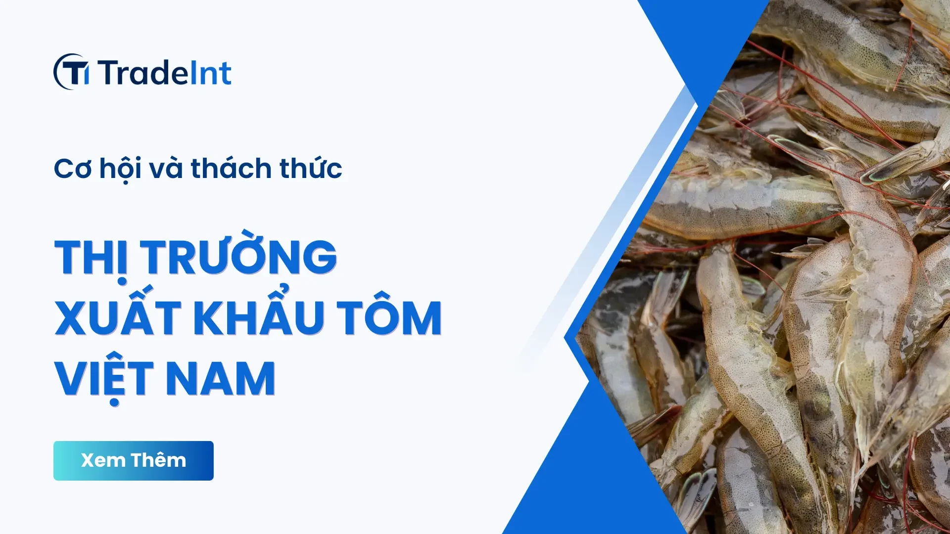 thị trường xuất khẩu tôm việt nam